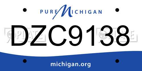 DZC9138 Michigan License Plate