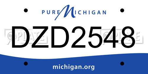 DZD2548 Michigan License Plate