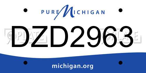 DZD2963 Michigan License Plate