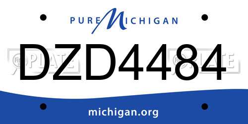 DZD4484 Michigan License Plate