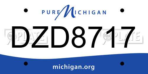 DZD8717 Michigan License Plate