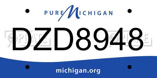 DZD8948 Michigan License Plate