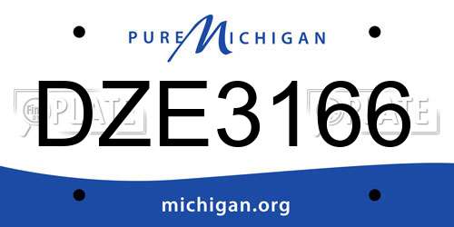 DZE3166 Michigan License Plate