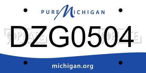 DZG0504 Michigan License Plate