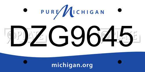 DZG9645 Michigan License Plate