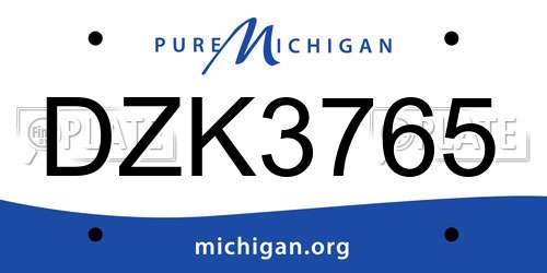 DZK3765 Michigan License Plate