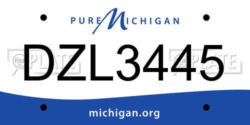 DZL3445 Michigan License Plate