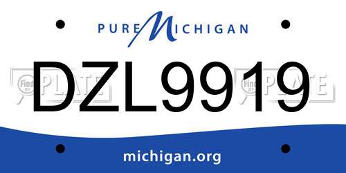 DZL9919 Michigan License Plate