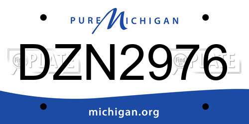DZN2976 Michigan License Plate