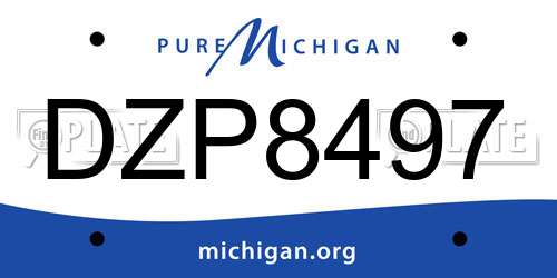 DZP8497 Michigan License Plate