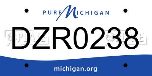 DZR0238 Michigan License Plate