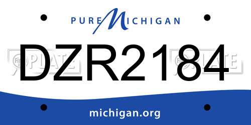 DZR2184 Michigan License Plate