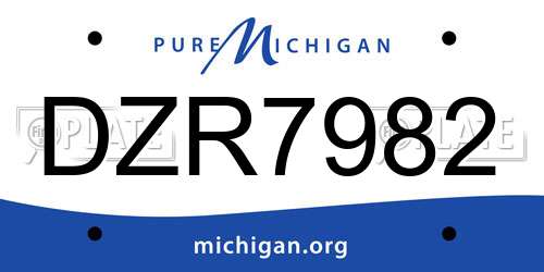DZR7982 Michigan License Plate