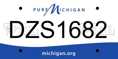 DZS1682 Michigan License Plate