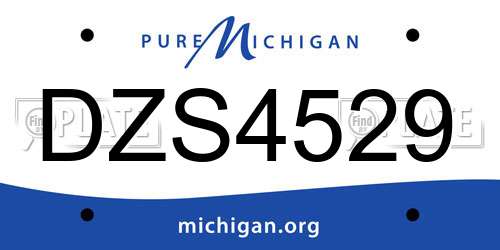 DZS4529 Michigan License Plate