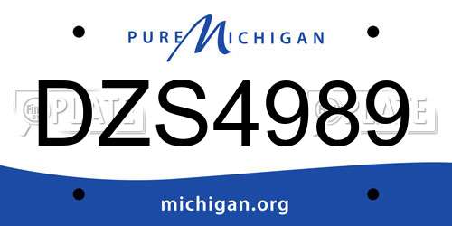 DZS4989 Michigan License Plate