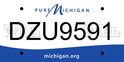 DZU9591 Michigan License Plate