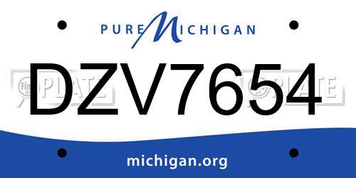 DZV7654 Michigan License Plate