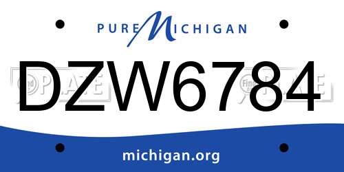 DZW6784 Michigan License Plate