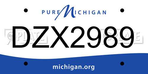 DZX2989 Michigan License Plate