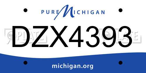 DZX4393 Michigan License Plate