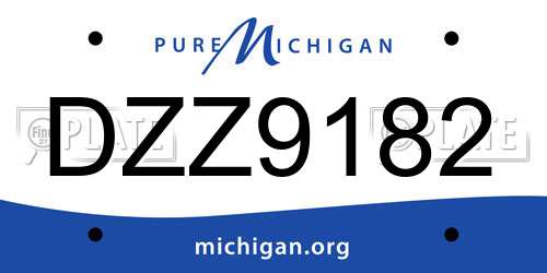 DZZ9182 Michigan License Plate