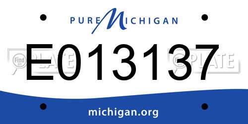 E013137 Michigan License Plate