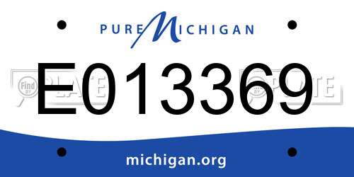 E013369 Michigan License Plate