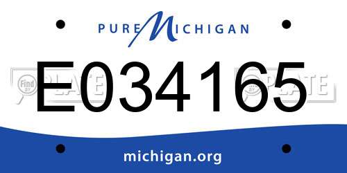E034165 Michigan License Plate