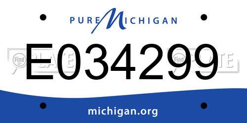 E034299 Michigan License Plate