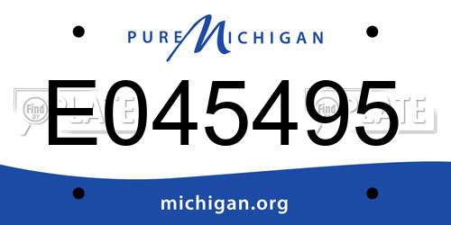 E045495 Michigan License Plate