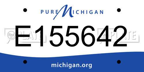 E155642 Michigan License Plate