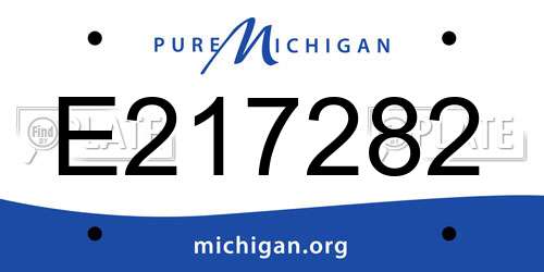 E217282 Michigan License Plate