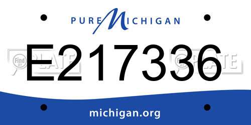 E217336 Michigan License Plate