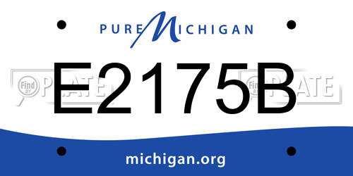 E2175B Michigan License Plate