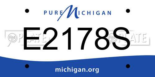 E2178S Michigan License Plate