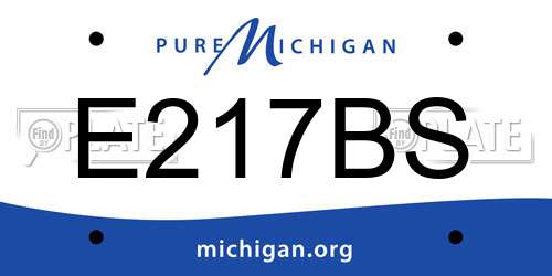 E217BS Michigan License Plate