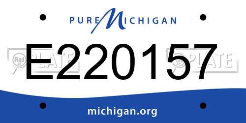 E220157 Michigan License Plate