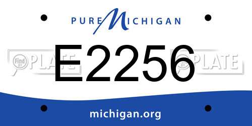 E2256 Michigan License Plate