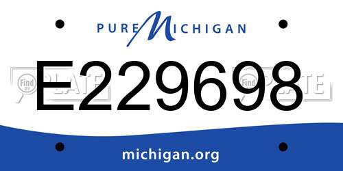 E229698 Michigan License Plate