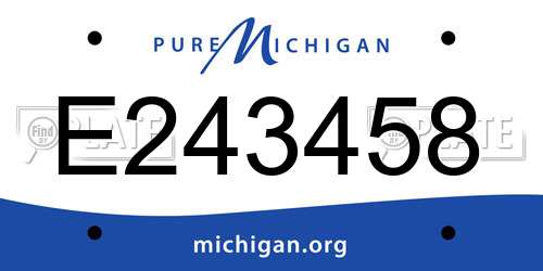 E243458 Michigan License Plate
