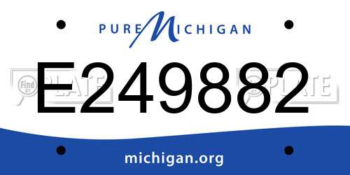 E249882 Michigan License Plate