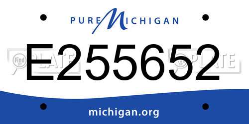 E255652 Michigan License Plate