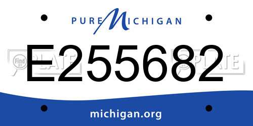 E255682 Michigan License Plate