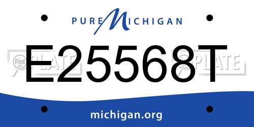E25568T Michigan License Plate