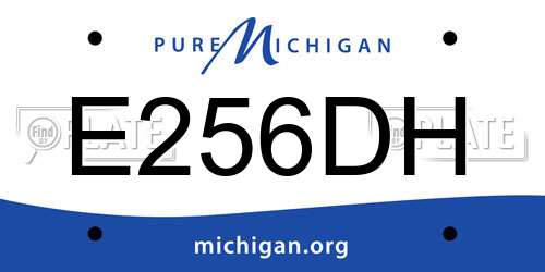 E256DH Michigan License Plate
