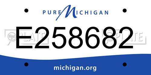 E258682 Michigan License Plate