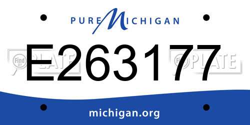 E263177 Michigan License Plate