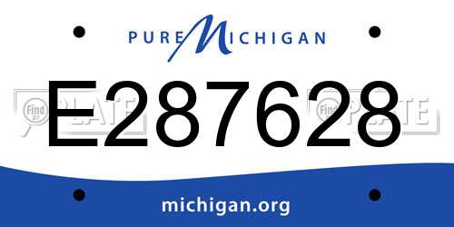 E287628 Michigan License Plate