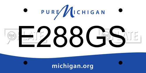 E288GS Michigan License Plate